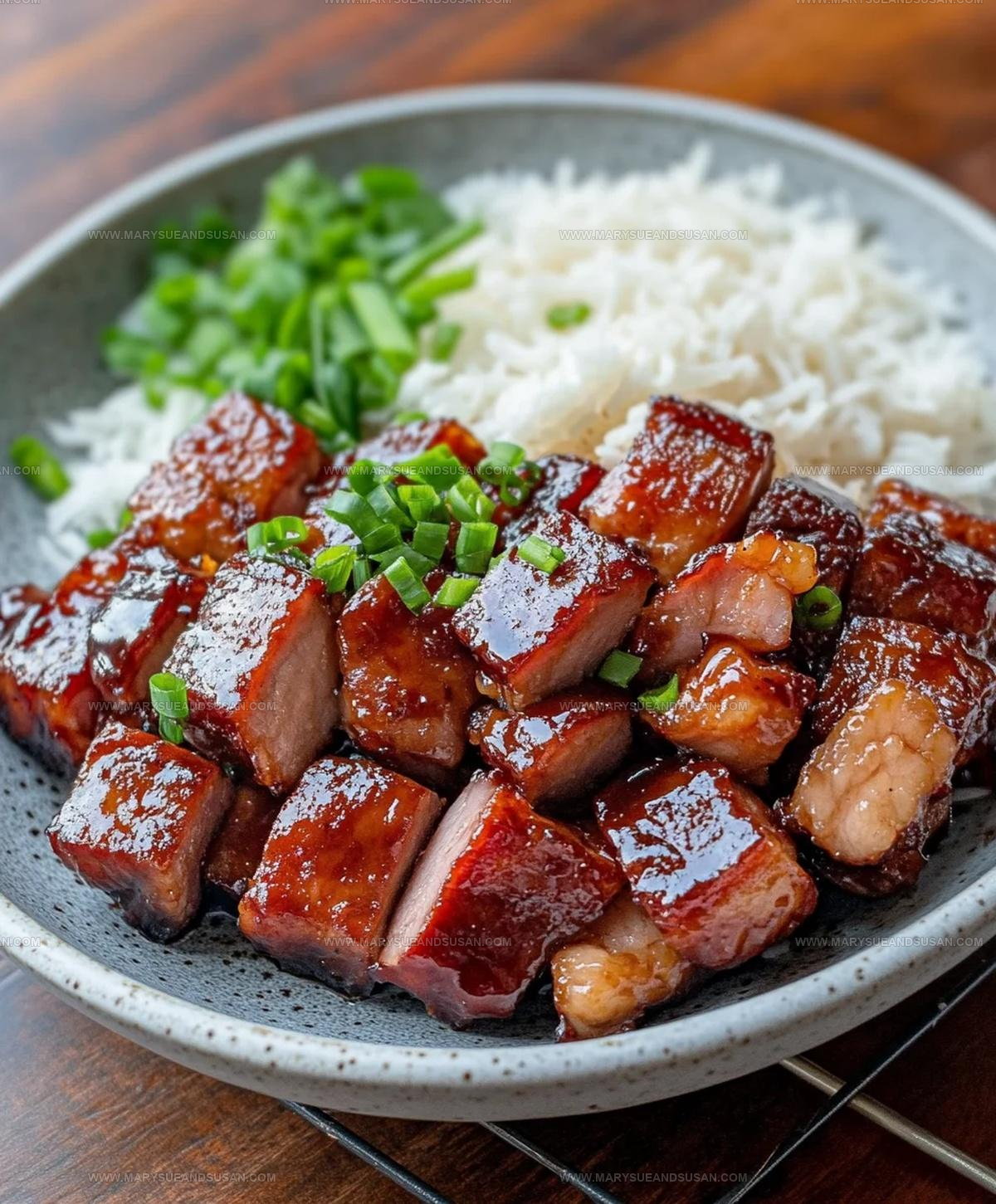 Cantonese Style Chinese BBQ Pork Char Siu Recipe