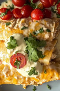 Chicken Enchiladas with Cream of Chicken Soup Recipe